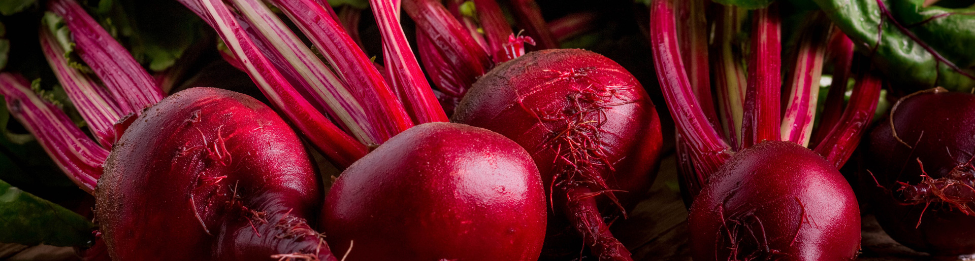 beetroot-slider-1
